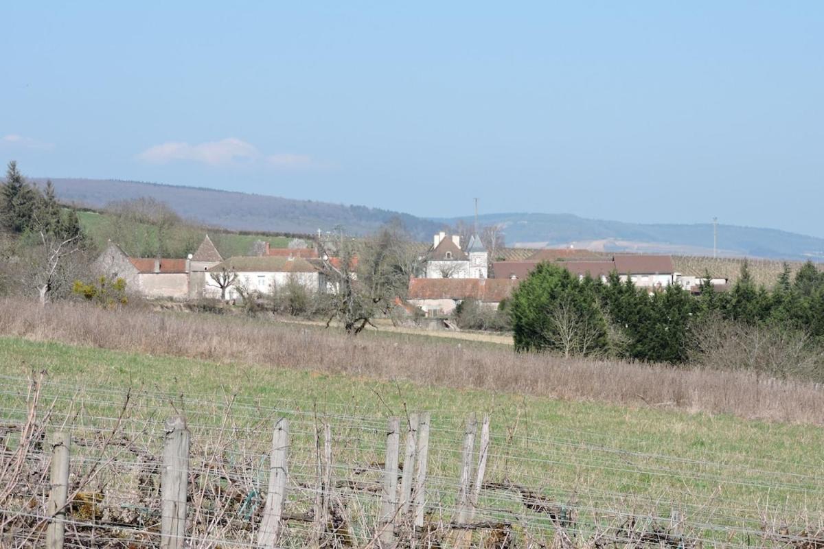 Gite Du Vigneron Chassey-le-Camp Экстерьер фото